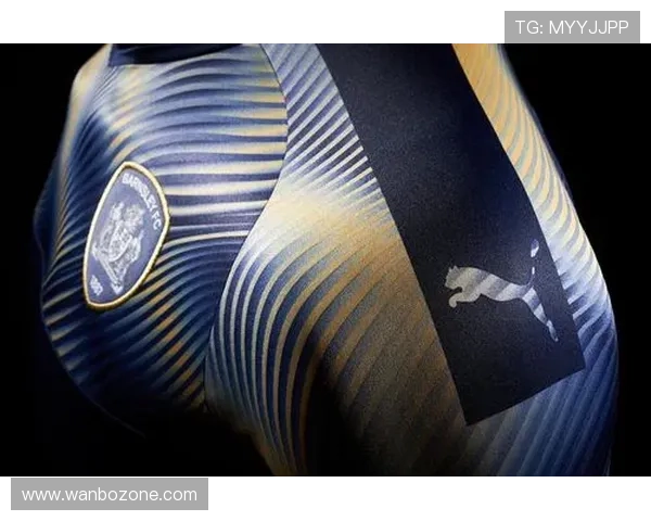 巴恩斯利俱乐部新赛季战略布局与青训发展全面解析