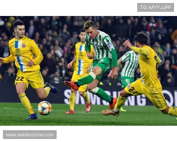 英超精彩赛事全程直播尽享足球盛宴每场比赛不容错过